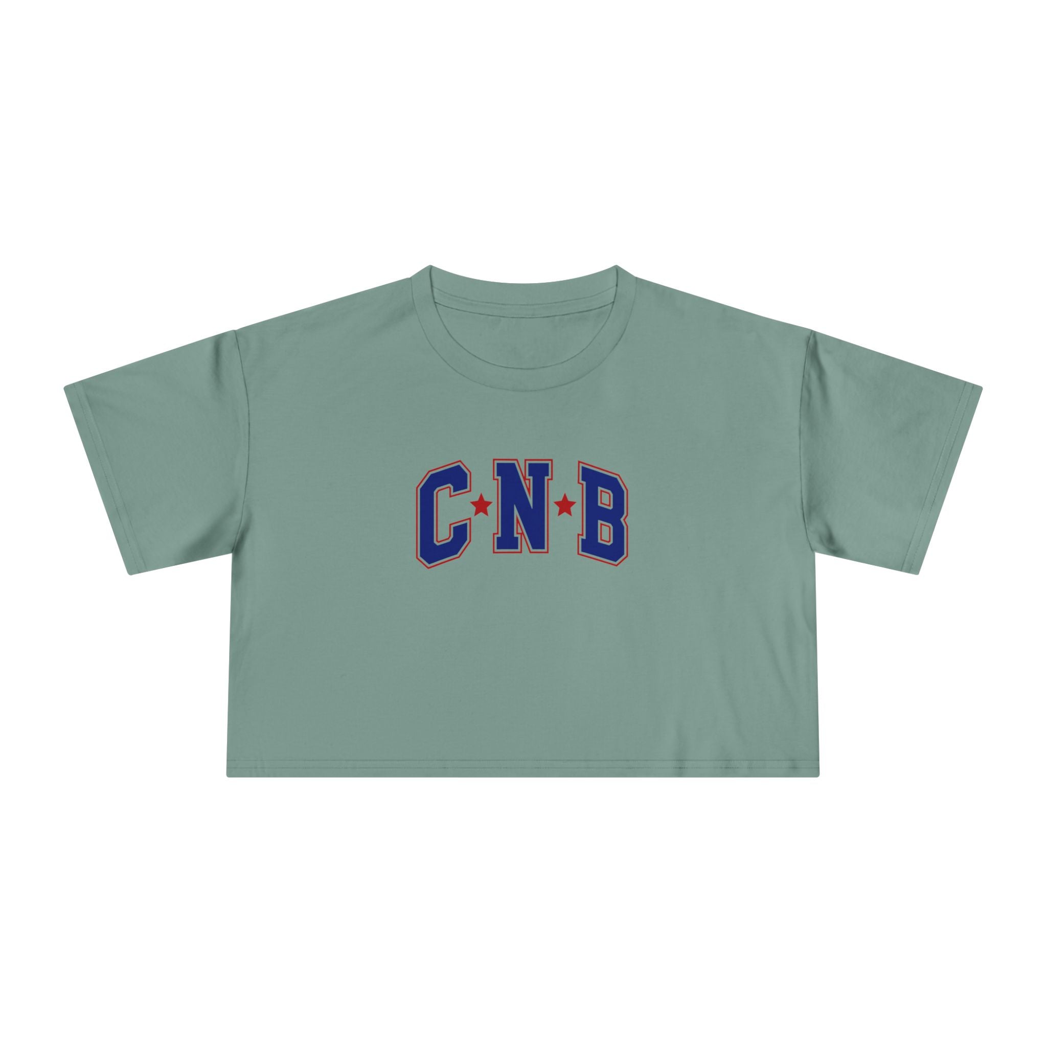 Varsity Letters Crop Tee